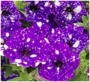 Снимок экрана 2025-10-22 161144